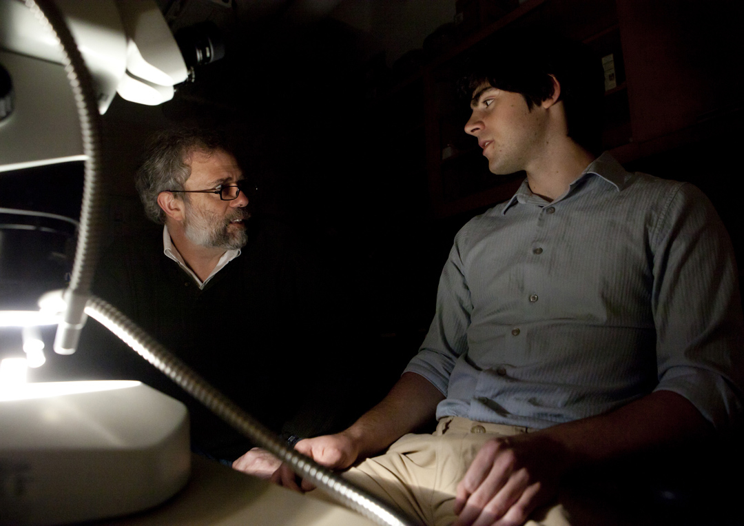 A needle in a lunar haystack: Alberto Saal (left) and Thomas Weinreich, a Brown Undergraduate, used Apollo lunar samples to show that water content in primitive Earth and lunar magma was similar. Credit: Mike Cohea/Brown University